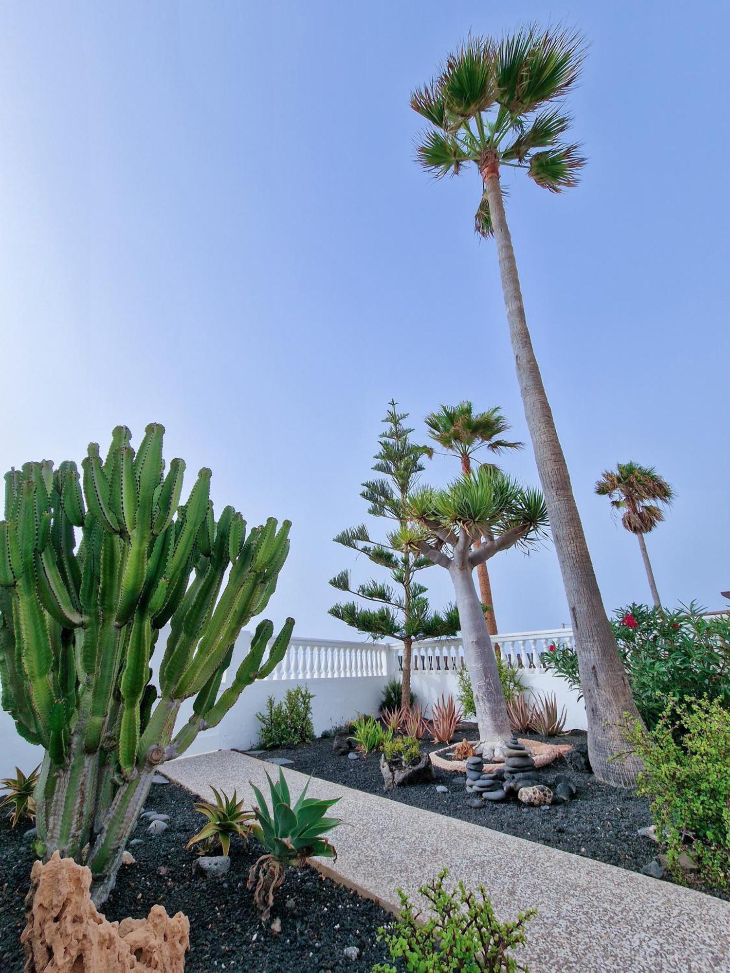 Villa La Maja Beachfront Corralejo Esterno foto